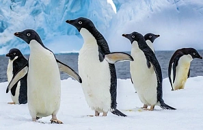 27 ноября два выступления лекторов РАНХиГС в рамках фестиваля «Симфония культур»