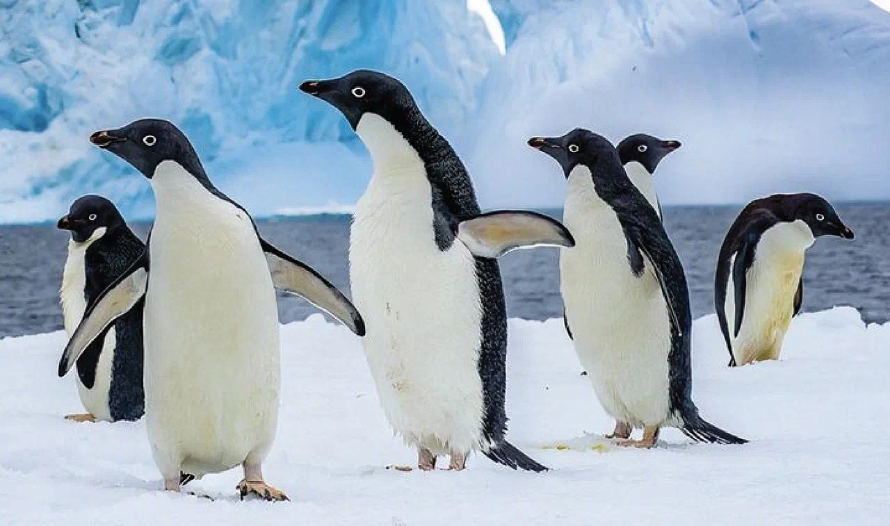 27 ноября два выступления лекторов РАНХиГС в рамках фестиваля «Симфония культур»